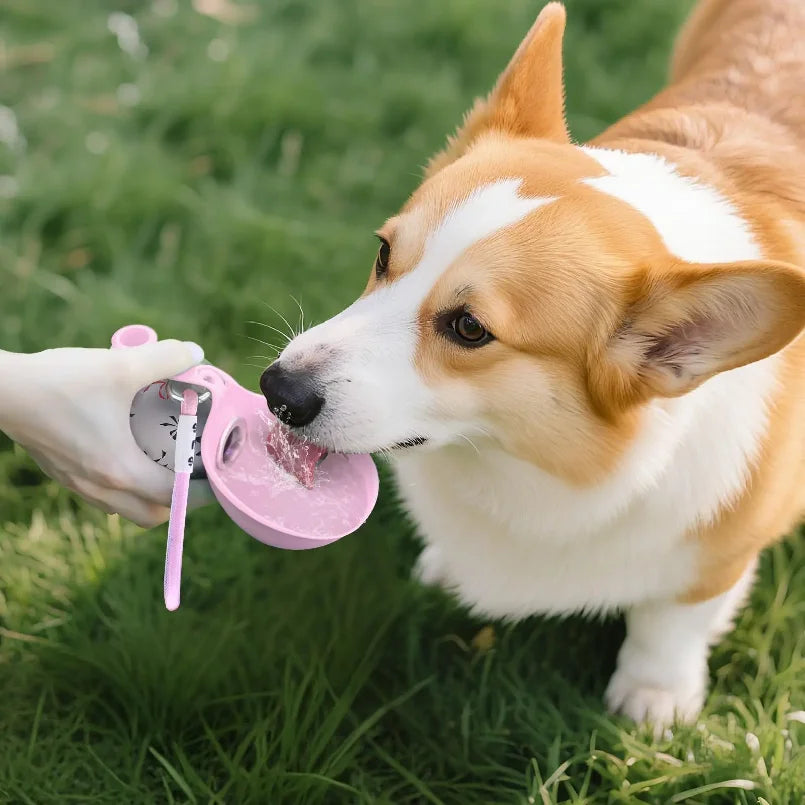 Botella portátil 2 en 1 para agua de perros pequeños – solución de viaje compacta y a prueba de fugas – diseño de acero inoxidable y silicona.